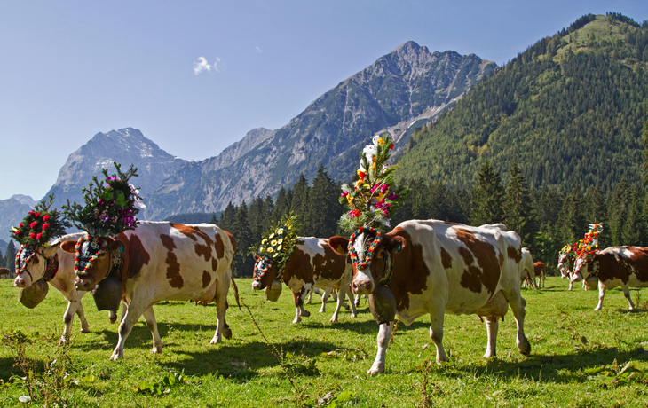Almabtrieb