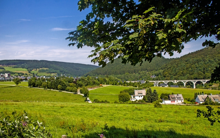 Willingen