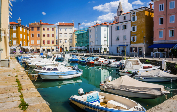 Muggia