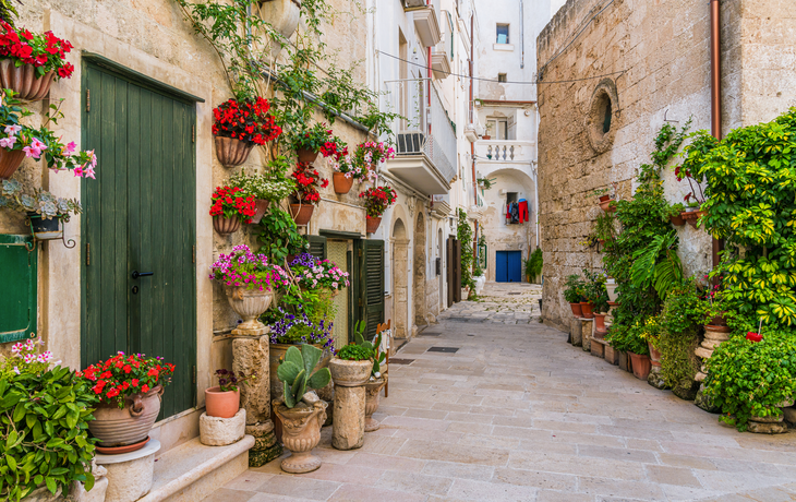Monopoli 