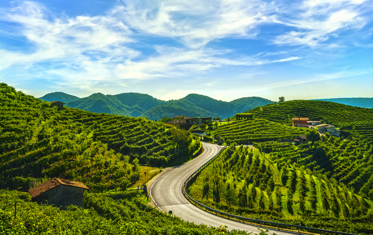 Prosecco Hills nahe Valdobbiadene in Venetien, Italien