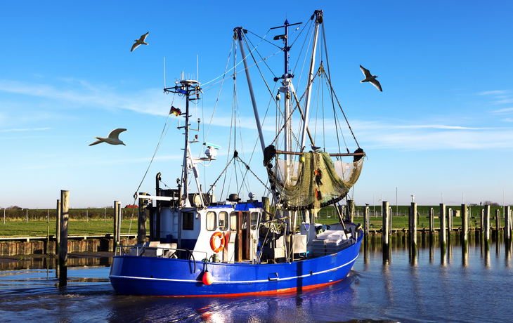 Krabbenkutter in Dorum