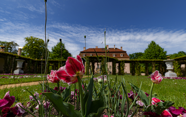 Fürst-Pückler-Park Branitz in Cottbus