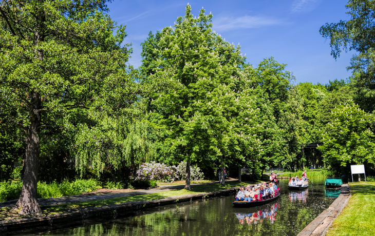 Spreewald nahe Lübbenau