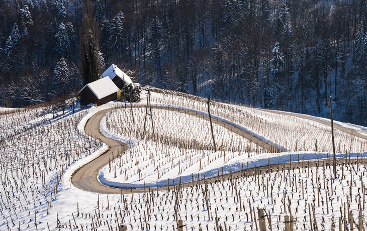 Weinberge im Sommer: die Herzerl Straße an der Grenze zwischen der Steiermark und Slowenien