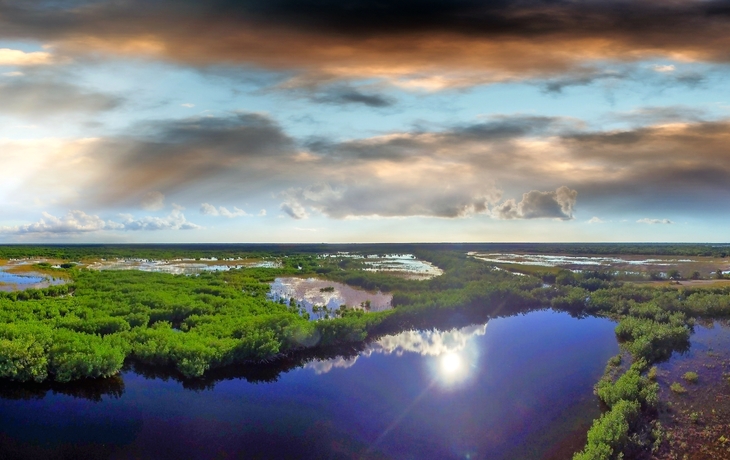 Panorama-Luftaufnahme von Everglades