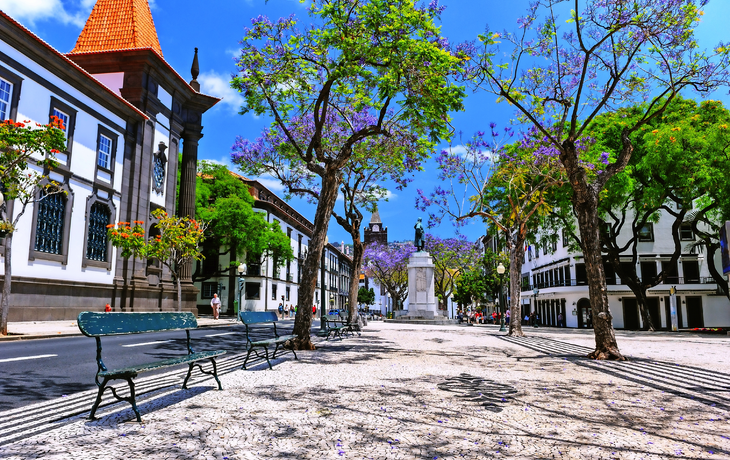 Stadtbild von Funchal