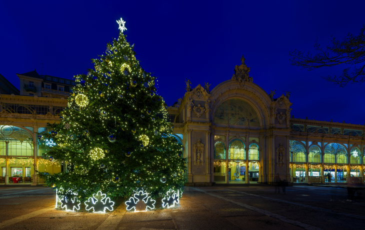 geschmückte Hauptkolonnade zur Adventszeit mit Weihnachtsbaum