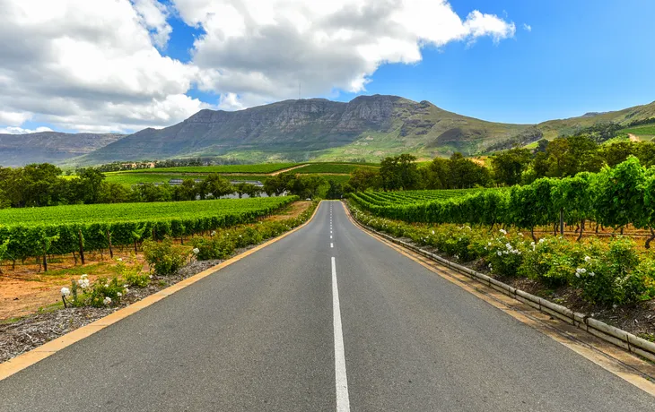 Stellenbosch Weinberge