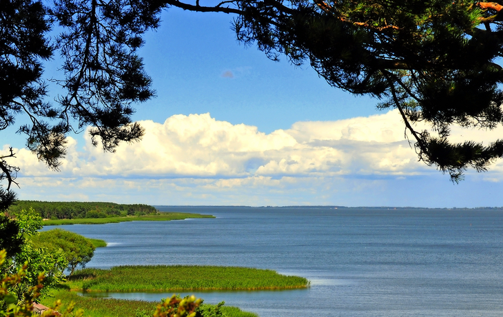 Kurische Nehrung