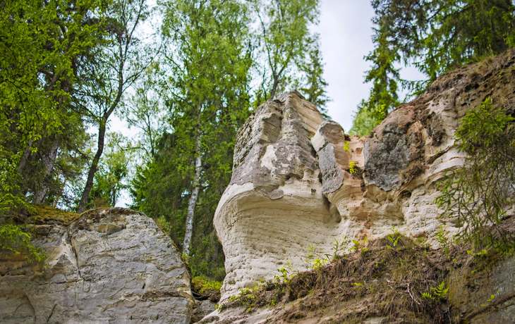 Sandsteinfelsen im Nationalpark Gauja