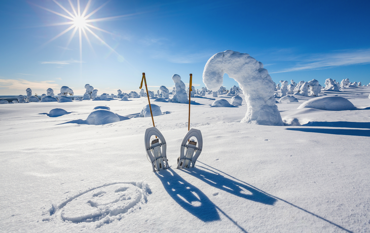 Schneeschuhe an einem sonnigen Tag in einem verschneiten Winterwald