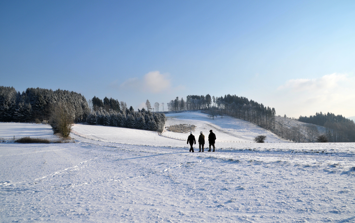 Winterlandschaft im Sauerland
