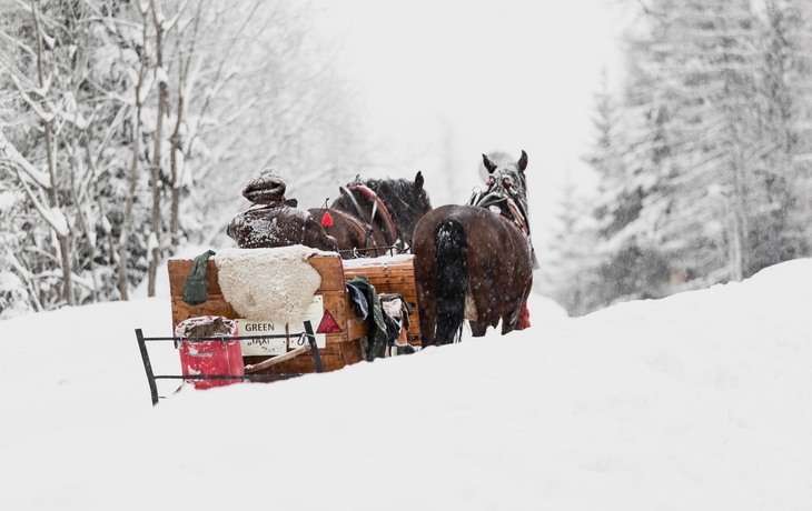 Pferdekutsche Winter