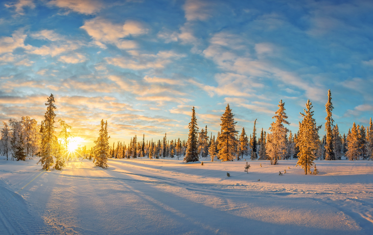 Snowy-Landschaft bei Sonnenuntergang, gefrorene Bäume im Winter in Saariselka,