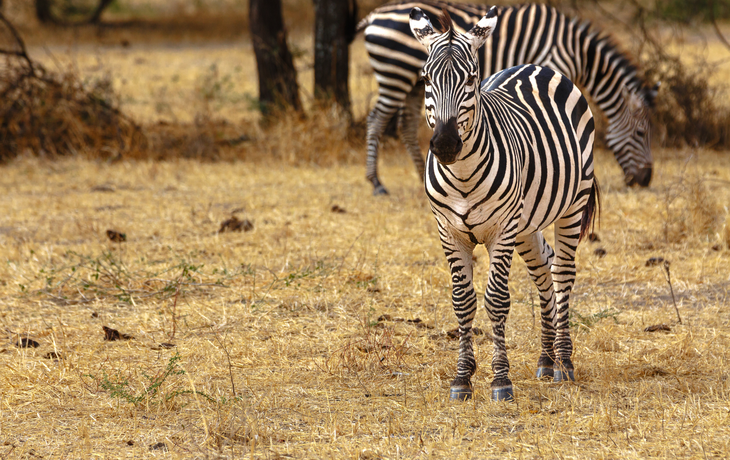 Tarangire-Nationalpark