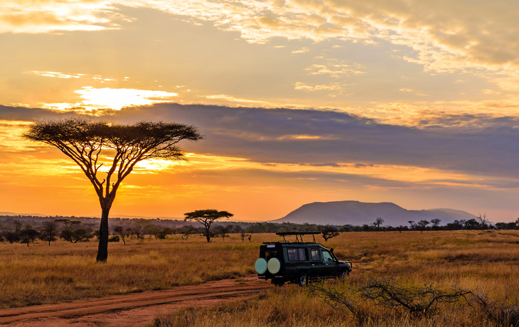Safari im Serengeti-Nationalpark in Tansania