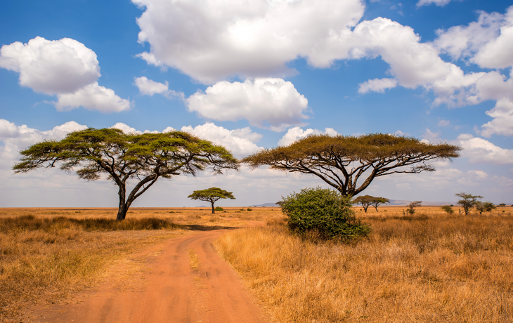 Serengeti-Nationalpark in Tansania