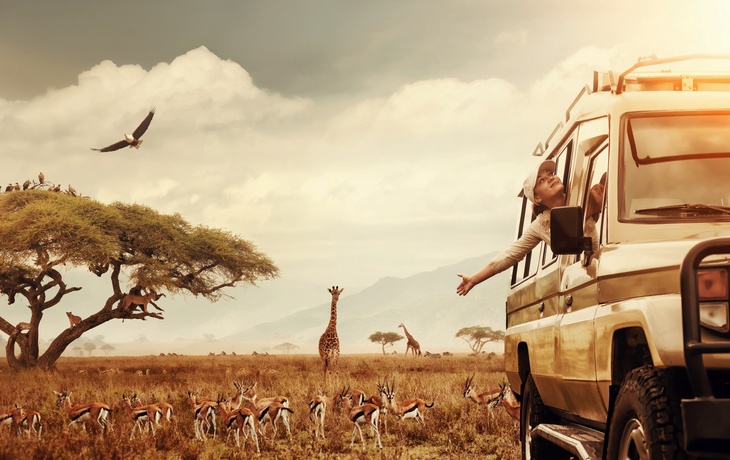 Safari