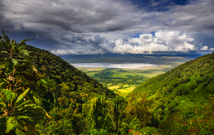 Landschaft im Ngorongoro-Krater
