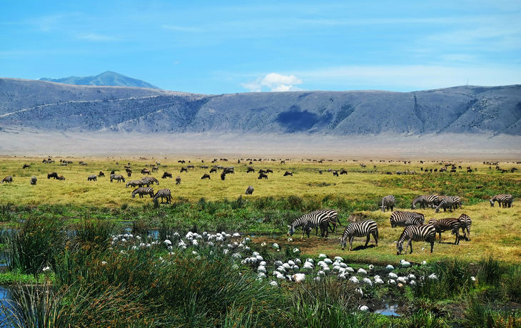 Ngorongoro-Krater