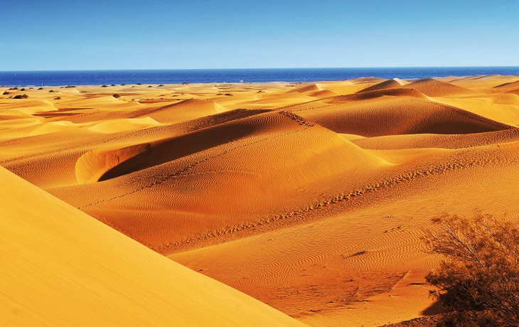 Natural Reserve of Dunes of Maspalomas, in Gran Canaria, Spain