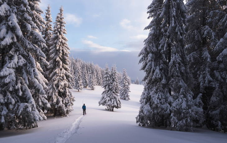 Winterwanderung