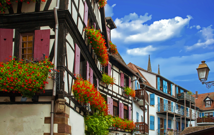 typische elsässische Fachwerkhäuser in Obernai, Frankreich
