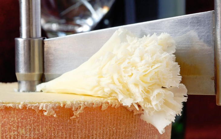 Rosette Closeup of Swiss Cheese Tete de Moine