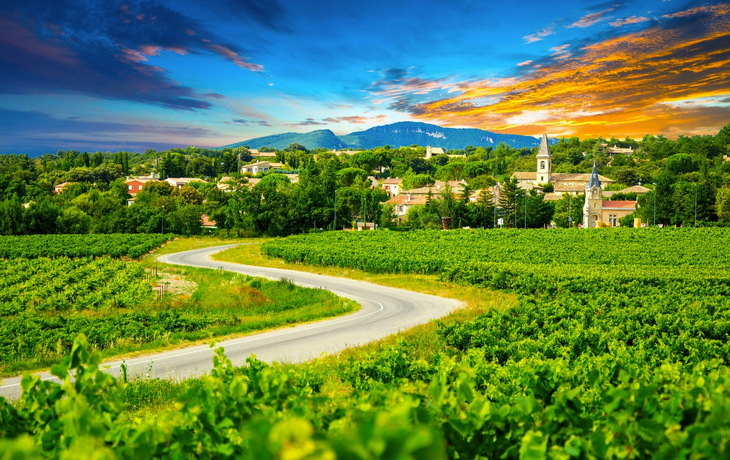 Weinberge und Dorf in der Champagne