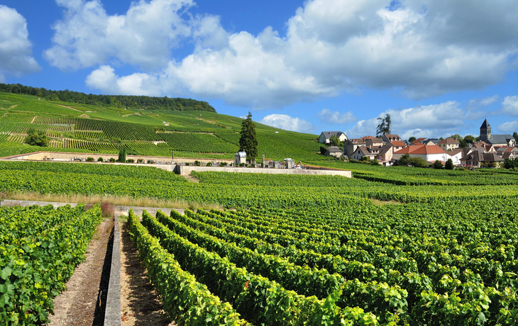 der bekannte Weinort Oger nahe Epernay in der Region Champagne, Frankreich