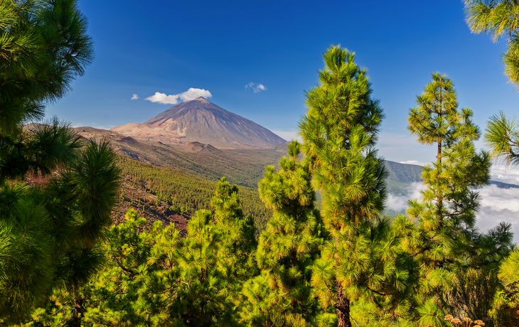 Vulkan Teide – Blick vom Mirador La Crucita 