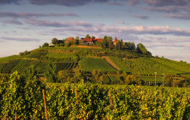 Zellenberg im Elsass