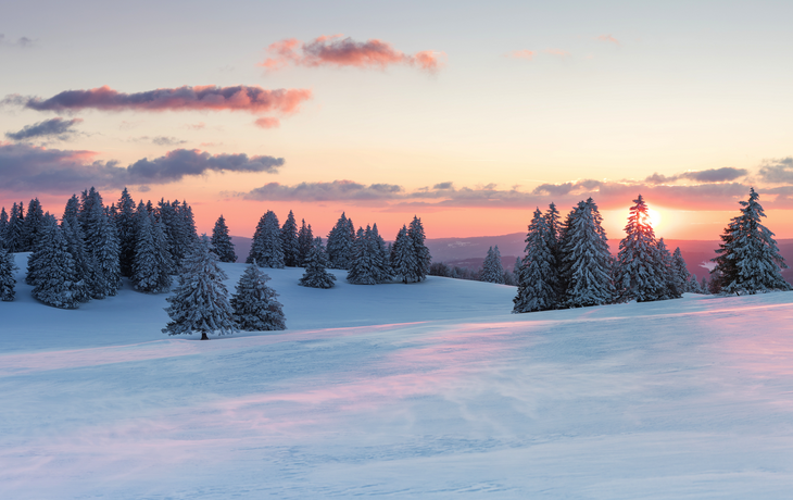Sonnenuntergang über verschneiten Tannen in den Schweizer Alpen