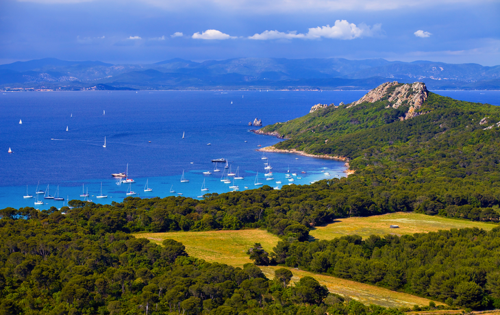 Île de Porquerolles