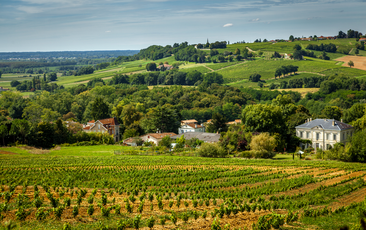 Weinbaugebiet Medoc