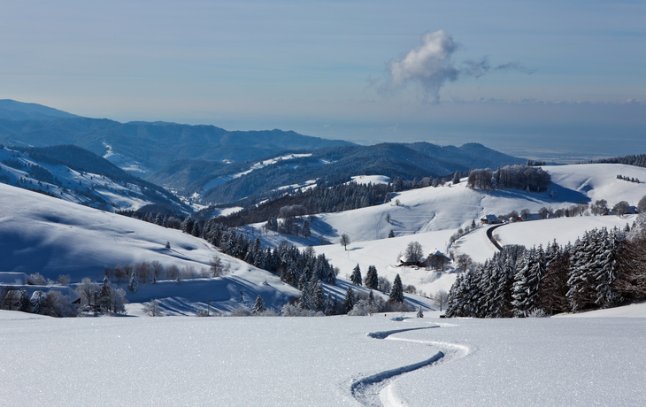 winterlicher Schwarzwald, Deutschland