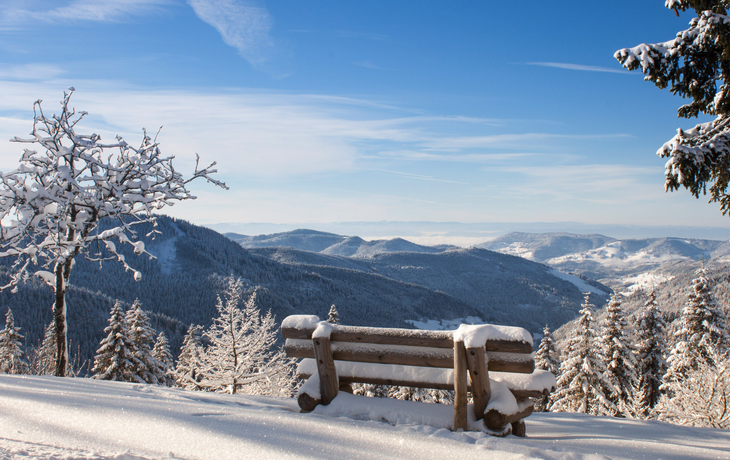 Schwarzwald im Winter