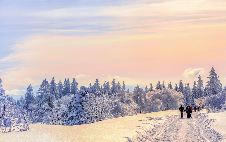 Winterspaziergang  im verschneiten Schwarzwald