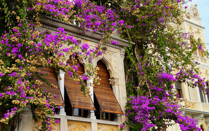 alte venezianischen Villa mit rosa Blumen auf der Isola del Garda