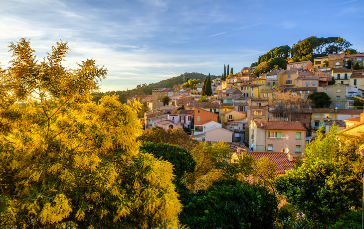 Panoramablick auf Bormes-les-Mimosas im Winter mit blühenden Mimosenbäumen im Vordergrund