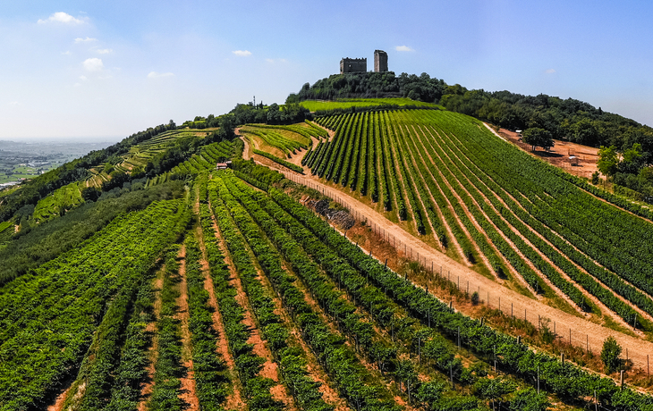 Luftaufnahme der Weinberge um Illasi in der Provinz Verona in Venetien, Italien