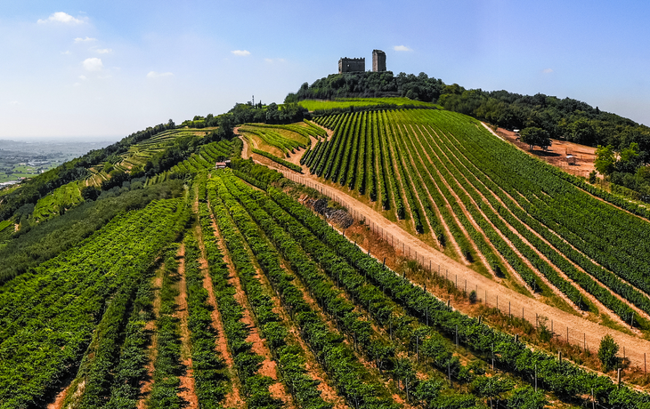 Luftaufnahme der Weinberge um Illasi in der Provinz Verona in Venetien, Italien