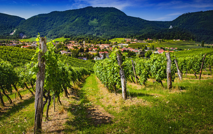 Slovenske Konjice