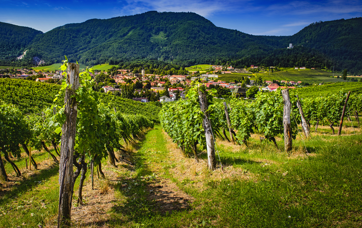 Slovenske Konjice