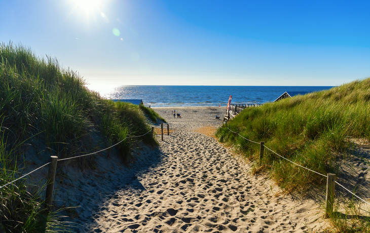 Strandzugang in den Dünen von Texel, Niederlande