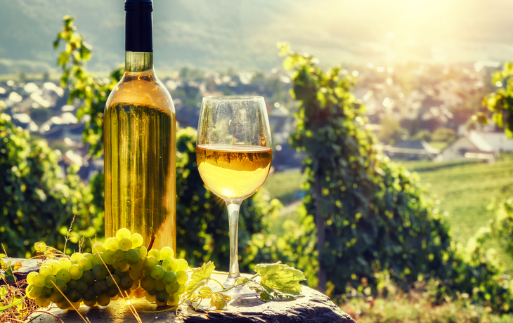 Flasche und volles Glas Weißwein über Weinberghintergrund