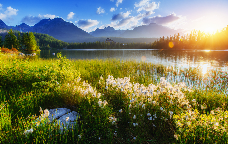 Bergsee im Nationalpark Hohe Tatra nahe Štrbské Pleso