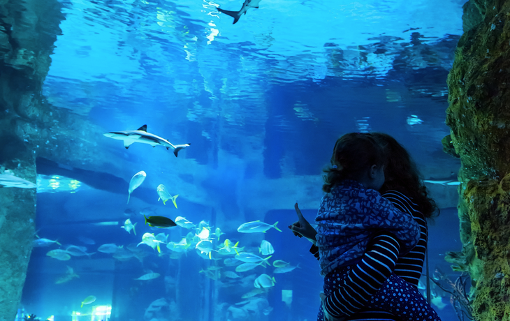 Familie im Aquarium