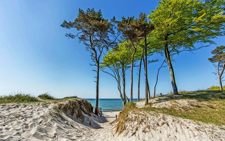 wilde Strände an der Ostsee in Fischland-Darß-Zingst, Deutschland